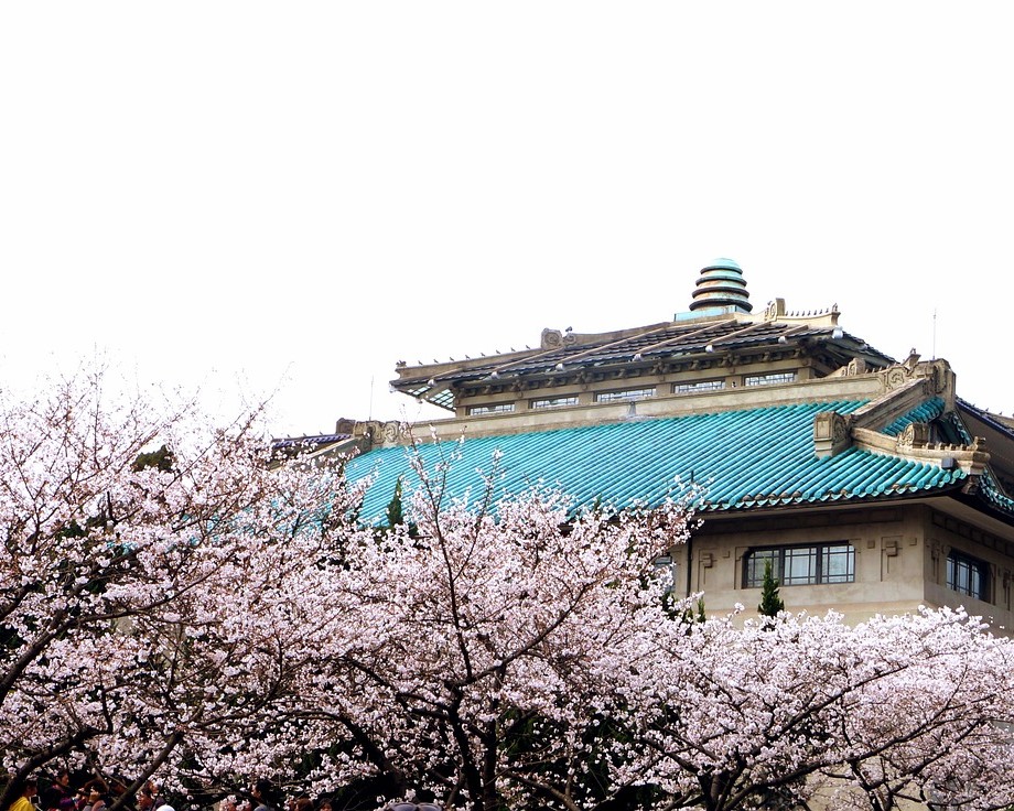 武汉办公室